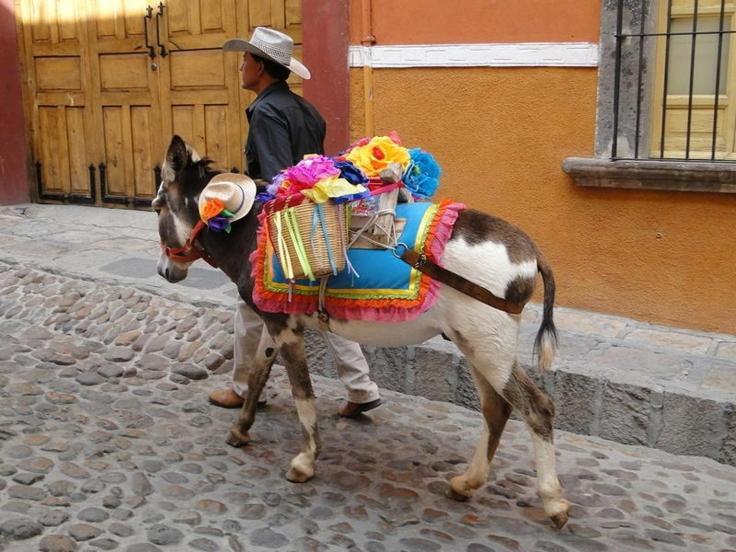 Casa Grande Luxury Boutique Hotel San Miguel de Allende Dış mekan fotoğraf